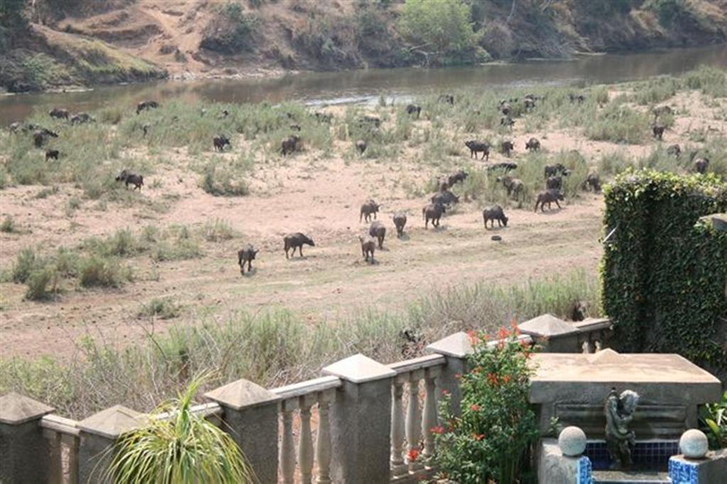 Belvedere-On-River Malalane Luaran gambar