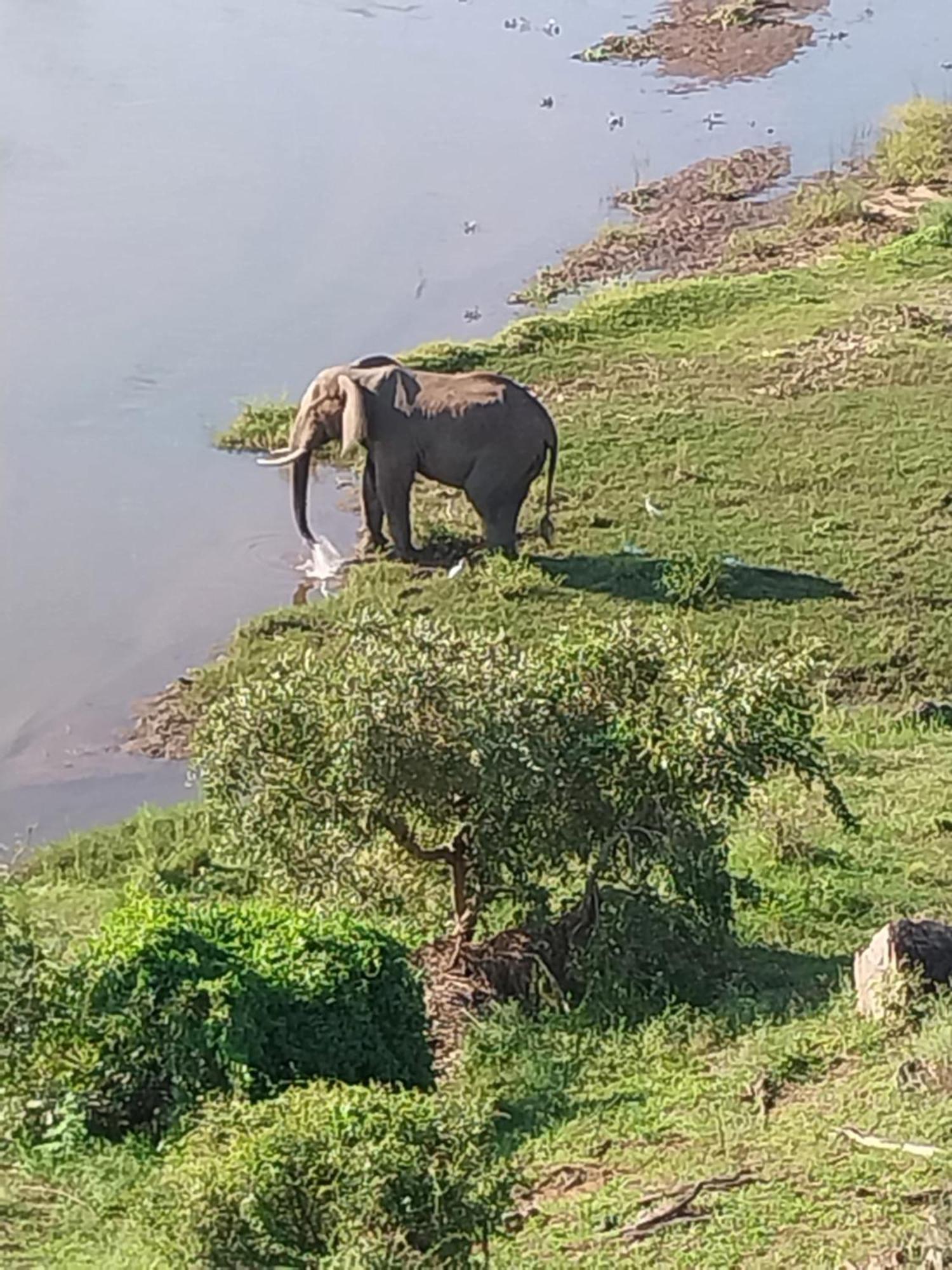 Belvedere-On-River Malalane Luaran gambar